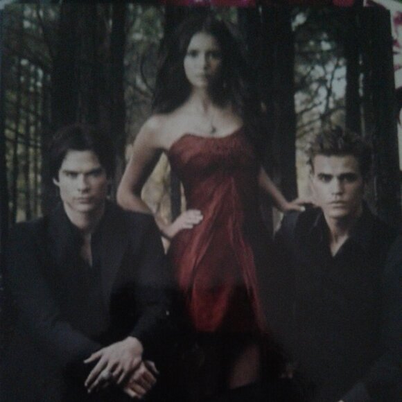 'Vampire Diairies, The' collage of cast photos - Picture 13 of 16